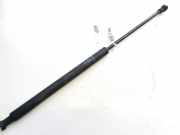 Gasfeder für Motorhaube Lexus IS, II 2005.10 - 2013.03 534400w101, 53440-0w101