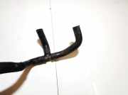 Kühlerschlauch Renault Clio, 2005.05 - 2009.06 1320380,