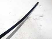 Zierleiste Leiste - Vorne Rechts Audi A6, C6 2005.01 - 2008.10 Gebraucht,
