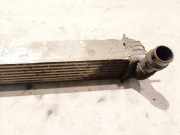 Ladeluftkühler Renault Laguna, III 2007.10 - 2010.11 H9467005, 114610001N