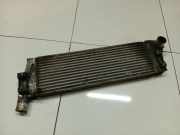 Ladeluftkühler Renault Scenic, II 2003.06 - 2006.06 8200115540D, 8200115540--D E2443 0001268