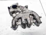 Ansaugkrümmer Volkswagen Passat, B5+ 2000.11 - 2005.05 038129713B, BGW