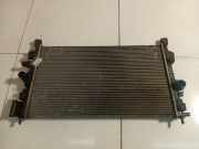 Wasserkühler Opel Insignia A, 2008.01 - 2013.01 Gebraucht,