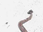 Stabilisator Vorne Toyota Corolla, 2004.02 - 2007.02 facelift Gebraucht,