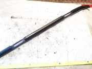 Dachreling Rechts Nissan X-Trail, 2001.06 - 2007.06 738328h300,