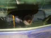 Wischermotor - Hinten Opel Zafira, B 2005.07 - 2008.01 Gebraucht,