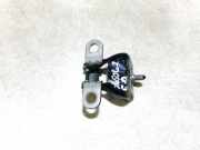 Lang Heckklappe Scharniere Scharnier - Hinten Rechts Peugeot 3008, I 2008.01 - 2016.06 Gebraucht,