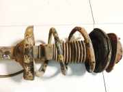 Fahrwerksfeder vorne Subaru Outback, IV 2009.06 - 2014.12 Gebraucht,