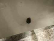 Waschwasserdüse Scheibenreinigung Toyota Avensis Verso, 2001.08 - 2009.11 Gebraucht,