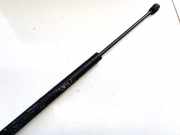 Gasdruckfeder Kofferraum Peugeot 406, 1995.11 - 1999.03 9616784580, 9171EU0230N