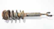 Sto?d?mpfer - Vorne Rechts Audi A4, B5 1994.11 - 1999.09 20341671,