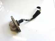 Kennzeichenleuchte Hyundai Trajet, 2000.03 - 2008.07 42500052, 92501-222