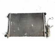 Wasserkühler Renault Laguna, I 1994.01 - 2001.03 Gebraucht,