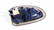 Türinnengriff - Vorne Rechts Renault Megane, I 1999.03 - 2002.10 facelift 8200028995, 99035101