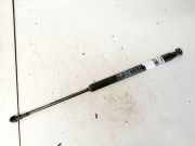 Gasdruckfeder Kofferraum Fiat Punto, 2005.10 - 2012.03 0924wg0350n,