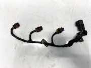 Kabelbaum Hyundai Santa Fe, 2006.03 - 2012.09 Gebraucht ,