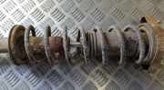 Fahrwerksfeder Hinterachse Mitsubishi Colt, 1992.03 - 1996.04 Gebraucht,