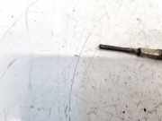 Glühkerze Chevrolet Captiva, 2006.01 - 2011.06 0250403003, 96440144