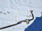 Stabilisator Vorne Volkswagen Touran, 2003.01 - 2006.10 Gebraucht, BKD