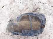 Radhausschale - Vorne Linke Opel Meriva, B 2010.06 - 2017.12 13267680, 13267676