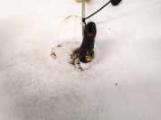 Kraftstoffpumpe Subaru Legacy, BL, BP 2003.09 - 2009.12 Gebraucht,