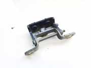 Türscharnier Hinten Renault Kadjar, I 2015.01 - 2018.06 Gebraucht,