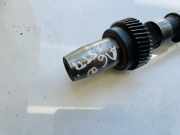 Zahnrad Nockenwelle Audi A6, C5 1997.01 - 2001.08 Gebraucht,