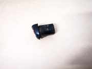 Türgriff Außen Endkappe Renault Laguna, II 2001.03 - 2006.05 8200028784,