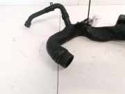 Intercooler Schlauch Seat Ibiza, III 2002.02 - 2009.11 6Q0129654BD,HP01