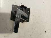 Türinnengriff - Hinten Linke Volkswagen Phaeton, 2002.04 - 2006 3D0839617D,3D0 839 617 D 3D0837617D BMK