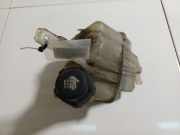 Ausgleichsbehälter Renault Vel Satis, 2002.06 - 2009.12 8200459275,8200 459 275