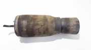 Feder - Luftfederung - Niveau - Hinten Linke BMW X5, E53 2000.01 - 2003 bb2982711,37.12-1095579