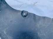 Radhausschale - Hinten Rechts Volkswagen Caddy, III 2010.09 - 2015.06 facelift Gebraucht, Cfh