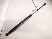 Gasdruckfeder Kofferraum Toyota Avensis, II 2003.04 - 2006.03 Gebraucht,