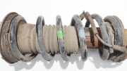 Fahrwerksfeder vorne Lexus IS, II 2005.10 - 2013.03 Gebraucht,