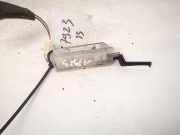 Innenraumleuchte Renault Scenic, II 2003.06 - 2006.06 8200024033,