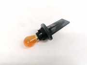 Glühbirnenfassung Blinker Renault Scenic, II 2003.06 - 2006.06 Gebraucht,