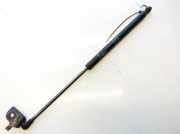 Gasfeder f?r Motorhaube Lexus IS, II 2005.10 - 2013.03 534500w081,53450-0w081