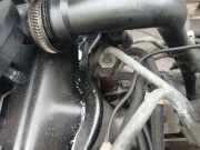 Einspritzdüse Volkswagen Passat, B5 1996.08 - 2000.11 Gebraucht, AFN