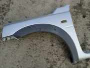 Kotfl?gel - Vorne Linke Land-Rover Freelander, 1998.02 - 2006.10 pilkas,
