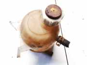 Ausgleichsbehälter Renault Scenic, I 1996.01 - 1999.09 7700839184,