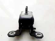 Türscharnier Vorne Renault Laguna, II 2001.03 - 2006.05 Gebraucht,
