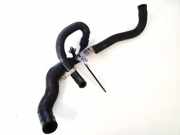 K?hlerschlauch Citroen C5, I 2001.03 - 2008.02 Gebraucht,