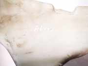 Scheibenwaschbehälter Vorne Wischwasserbehälter Audi A4, B5 1994.11 - 1999.09 8d0955453b,