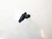 Einspritzdüse Renault Megane, I 1995.11 - 1999.02 866313,
