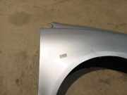 Kotflügel - Vorne Rechts Volkswagen Polo, IV 2005.04 - 2009.11 facelift Gebraucht , BMS