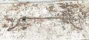 Stabilisator Vorne Ford Focus, 1998.10 - 2002.10 Gebraucht,