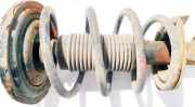 Fahrwerksfeder vorne Nissan Primera, P12 2002.01 - 2008.12 Gebraucht,