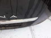 Kennzeichenleuchte Renault Laguna, III 2007.10 - 2010.11 Gebraucht ,