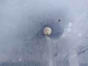 Waschwasserdüse Scheibenreinigung Opel Vectra, B 1995.09 - 2000.09 Gebraucht ,